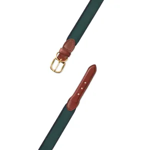 Green on Navy Suede Dog Collar